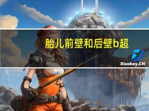 胎儿前壁和后壁b超（胎儿前壁和后壁的区别）