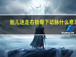 胎儿迷走右锁骨下动脉什么意思（锁骨下动脉狭窄是什么意思）