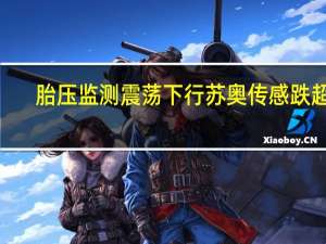 胎压监测震荡下行苏奥传感跌超9%