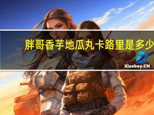 胖哥 香芋地瓜丸卡路里是多少