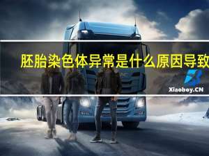 胚胎染色体异常是什么原因导致的（胚）