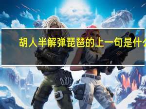 胡人半解弹琵琶的上一句是什么