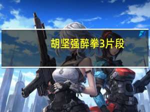 胡坚强醉拳3片段（胡坚强）