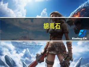 胡嵩石（胡嵩）