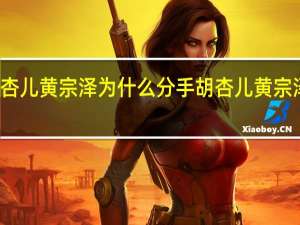 胡杏儿黄宗泽为什么分手 胡杏儿黄宗泽电视剧
