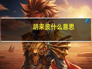 胡来波什么意思