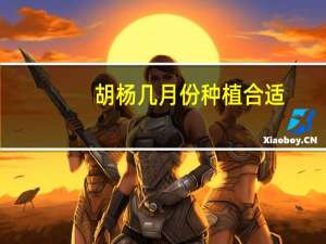 胡杨几月份种植合适