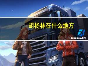 胡杨林在什么地方