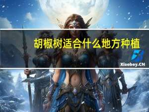 胡椒树适合什么地方种植