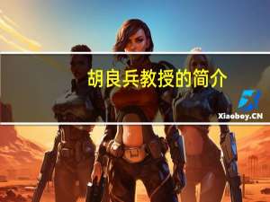 胡良兵教授的简介