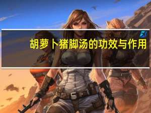 胡萝卜猪脚汤的功效与作用（猪脚汤的功效与作用）