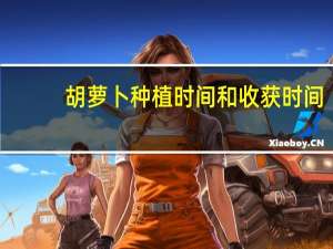 胡萝卜种植时间和收获时间