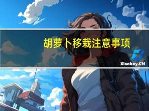 胡萝卜移栽注意事项