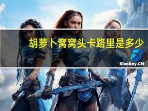 胡萝卜窝窝头卡路里是多少