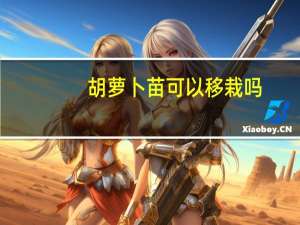 胡萝卜苗可以移栽吗