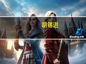 胡锡进：重温了这一年的大事记