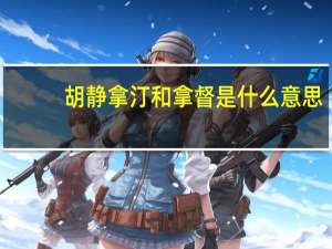 胡静拿汀和拿督是什么意思（拿督是什么意思）