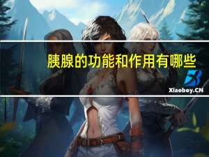 胰腺的功能和作用有哪些（胰腺的功能）