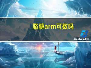 胳膊arm可数吗