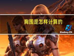 胸围是怎样计算的？