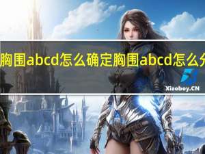 胸围abcd怎么确定 胸围abcd怎么分大小