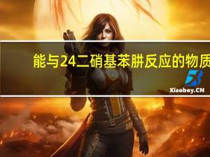 能与24二硝基苯肼反应的物质