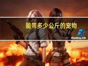 能带多少公斤的宠物