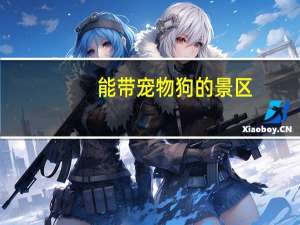 能带宠物狗的景区