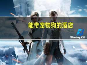 能带宠物狗的酒店