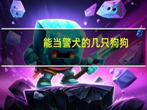 能当警犬的几只狗狗