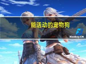 能活动的宠物狗