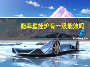 能率壁挂炉有一级能效吗