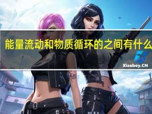 能量流动和物质循环的之间有什么关系