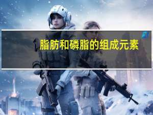 脂肪和磷脂的组成元素（磷脂的组成元素）