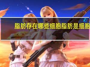 脂肪存在哪些细胞 脂肪是细胞吗
