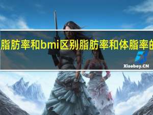 脂肪率和bmi区别 脂肪率和体脂率的区别