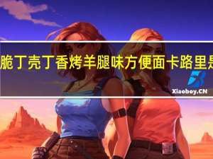 脆丁壳 丁香烤羊腿味方便面卡路里是多少