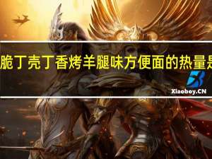 脆丁壳 丁香烤羊腿味方便面的热量是多少