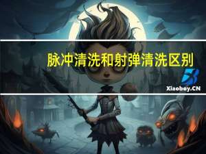 脉冲清洗和射弹清洗区别