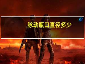 脉动瓶口直径多少