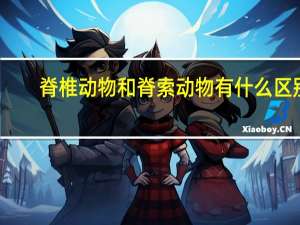 脊椎动物和脊索动物有什么区别