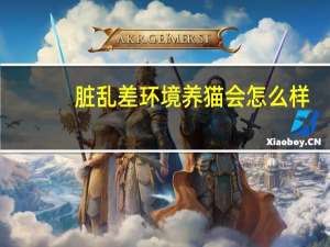 脏乱差环境养猫会怎么样