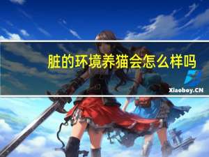 脏的环境养猫会怎么样吗