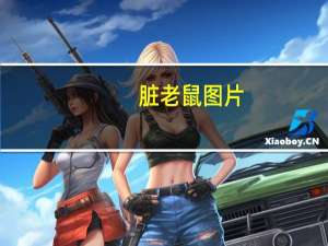 脏老鼠图片（脏鼠简介）