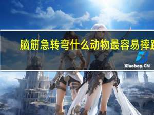 脑筋急转弯什么动物最容易摔跤