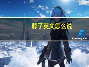 脖子英文怎么说