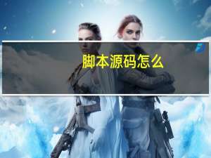 脚本源码怎么