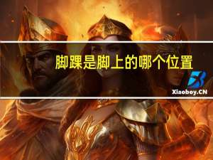 脚踝是脚上的哪个位置（脚踝是在脚的什么位置）