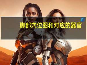 脚部穴位图和对应的器官