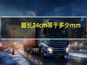脚长24cm等于多少mm
